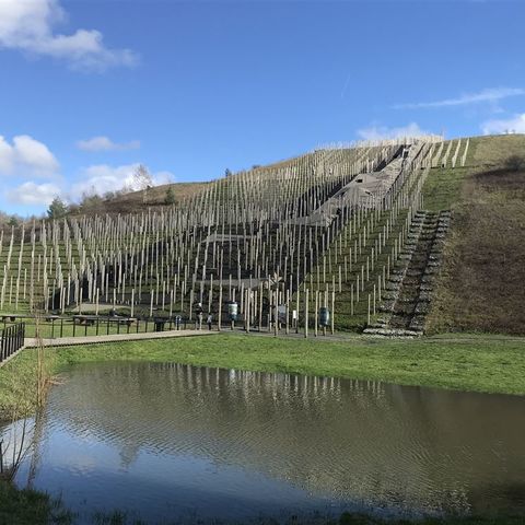 Zoektocht Midden-Limburg: Beringen-Koersel-Heusden-Zolder