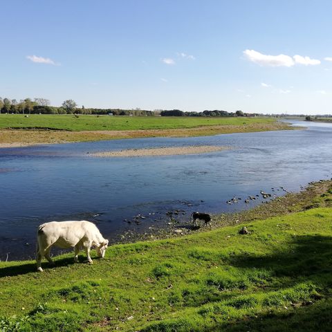 Zoektocht Maasland : Meeswijk-Maaseik-Grevenbicht