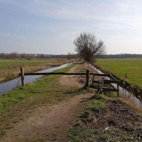 Zoektocht Noord-Limburg: Pelt-Hamont-Achel