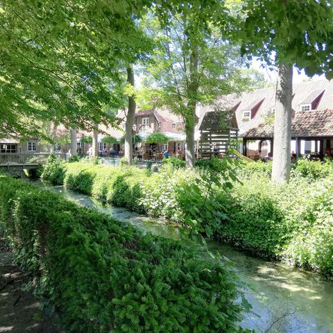 Zoektocht Noord-Limburg: Lommel-Postel (ingekorte zoektocht)