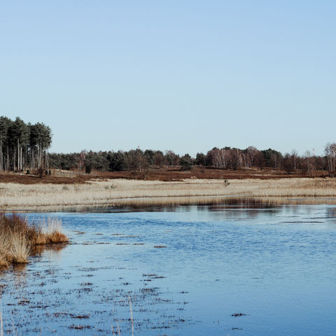 Zoektocht Midden-Limburg: Hasselt-Zonhoven-Bokrijk